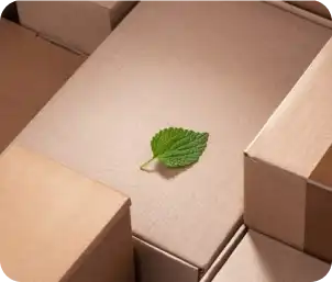 A Beginner’s Guide to Sustainable Packaging Solutions