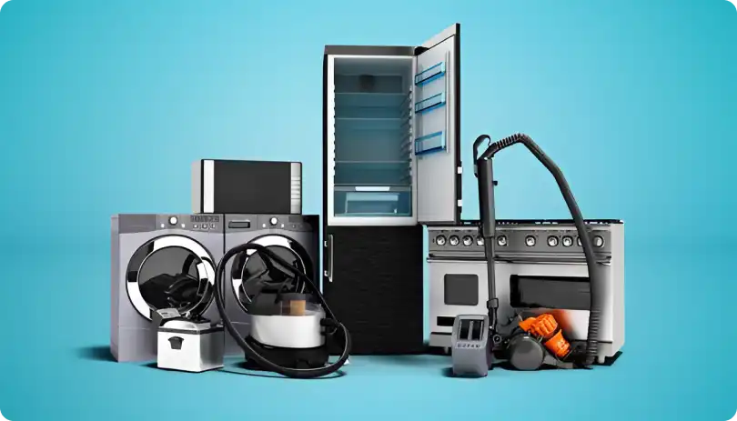 pixelcut-export (7) 1